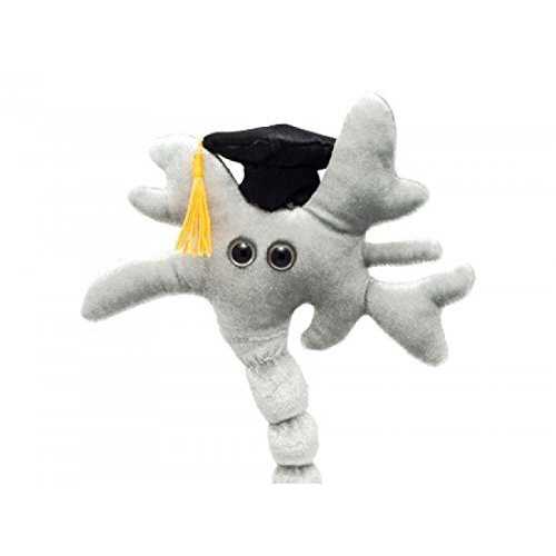 Graduation Brain Cell Plush Doll (Neuron) Plush Toy on OnBuy