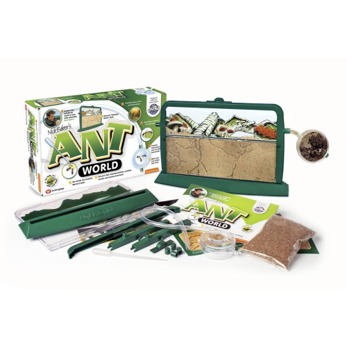 Ant World 2