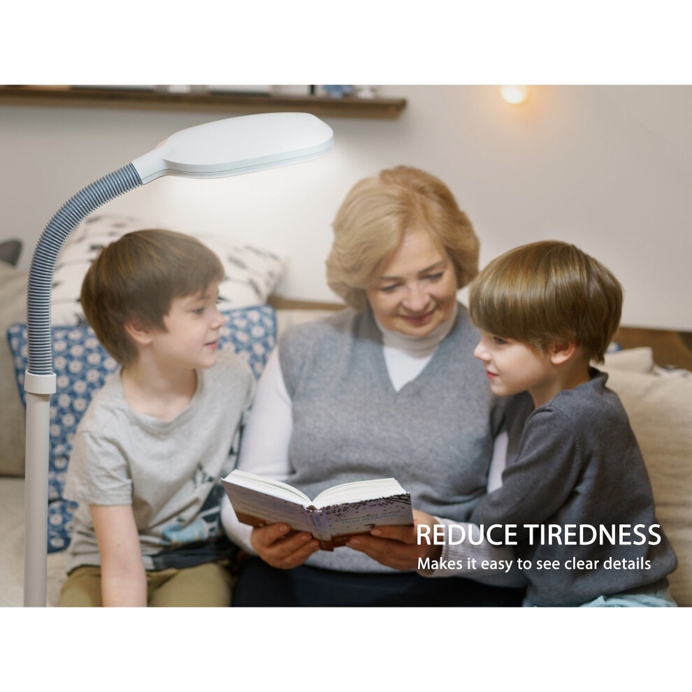 Kenley Natural Daylight Floor Lamp with High Vision Energy