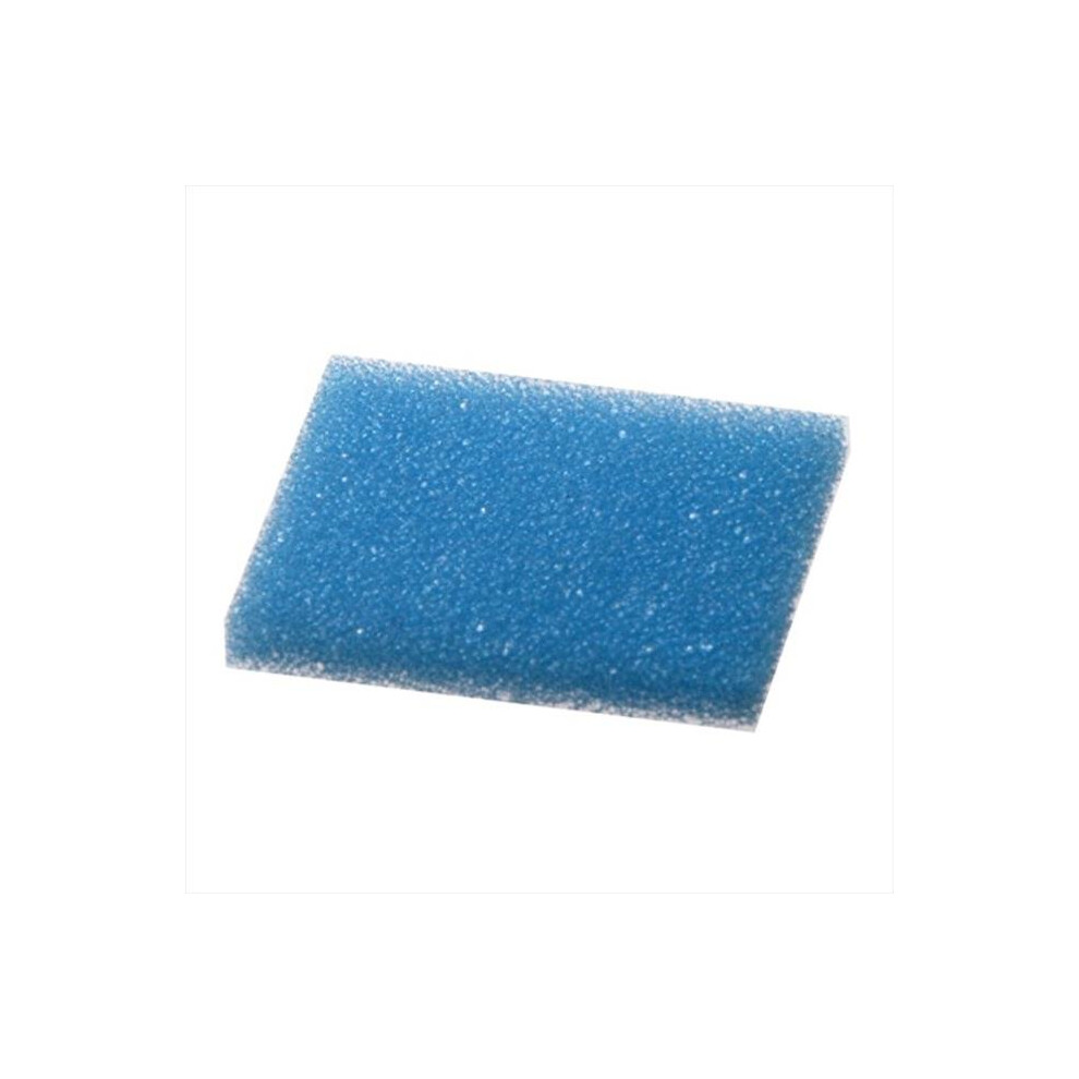 Bio Plas 6120 Biopsy Pads, 1 x 1.25 - 1000 pk - Blue