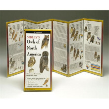 Sibleyapos;s Owls North America Book