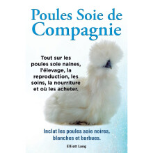 Poules soie de compagnie. Tout sur les Poules soie naines, l'élevage, la reproduction, les soins, la nourriture et où les acheter. Inclut les...