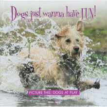 Dogs just wanna have FUN! - Picture this: Dogs at Play