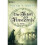 Der Thron der Finsternis: Roman 1