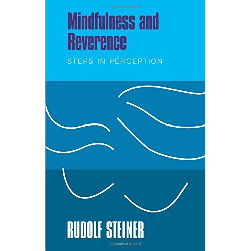 Mindfulness and Reverence: Steps in Perception