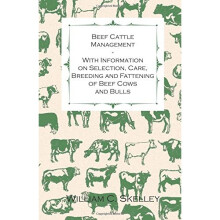 Beef Cattle Management - With Information on Selection, Care, Breeding and Fattening of Beef Cows and Bulls
