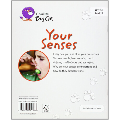 Your Senses: Band 10/White (Collins Big Cat) 1