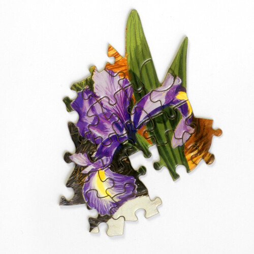 Bits and Pieces - Παζλ 750 Τεμαχίων 20" x 27" - Κήπος Φάρος - Παζλ από τον Καλλιτέχνη Alan Giana 2