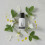 The INKEY List Rosehip Oil 3