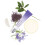 Elemis Elemis - Peptide4 Herstel Oogcrème - 15 ml 6