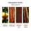 Molton Brown Molton Brown Tobacco Absolute Bath & Shower Gel 4