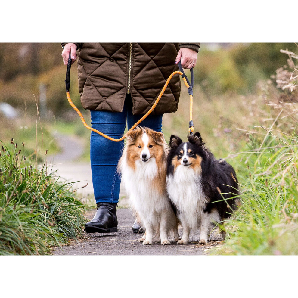 Sweetie store dog lead