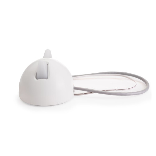 Sureflap Hub