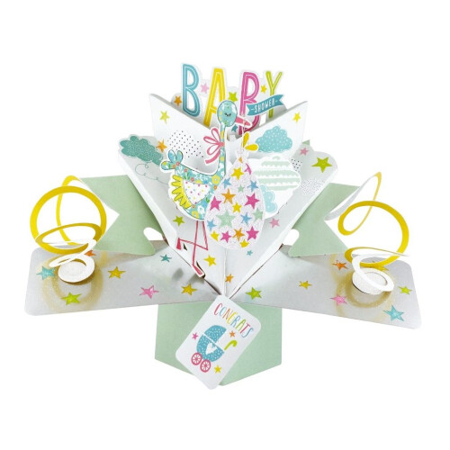 Second Nature Pop Ups"Stork" Baby Shower Card