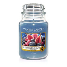 Yankee Candle Large Jar Candle, Mulberry & Fig,, Blue, 9.9 x 9.9 x 16.8 cm