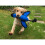 Nerf Nerf Dog Trackshot Duck Launcher Toy 6