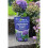 Vitax Vitax Hydrangea Feed 1KG 3