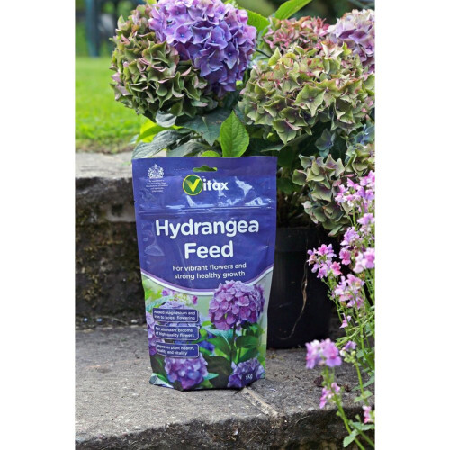 Vitax Vitax Hydrangea Feed 1KG 2