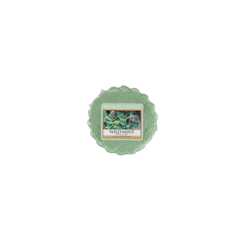 Yankee Candle Wild Mint Wax Melt, Green, 6.1 x 5.7 x 2 cm