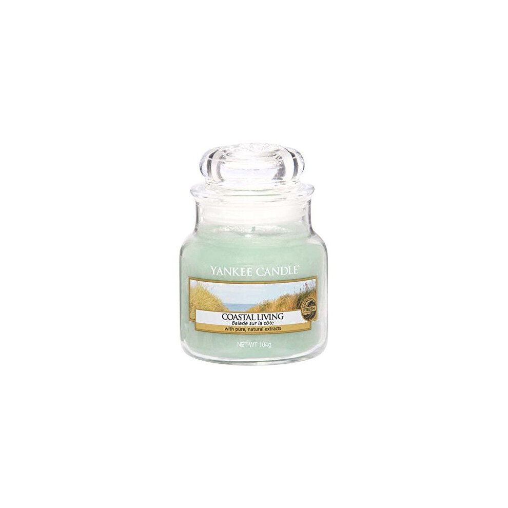 Yankee Candle Coastal living Small Jar Candle, Green