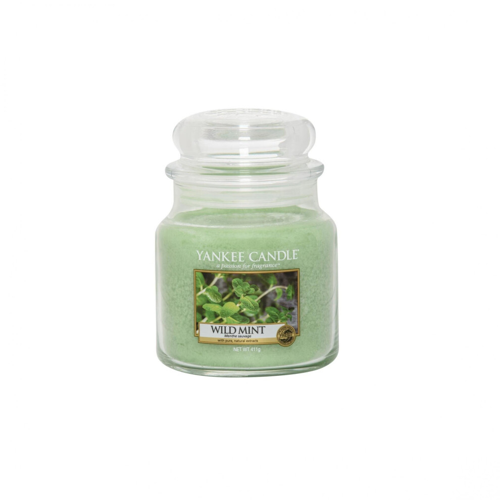 Yankee Candle Wild Mint Jar Candle, Green, Medium