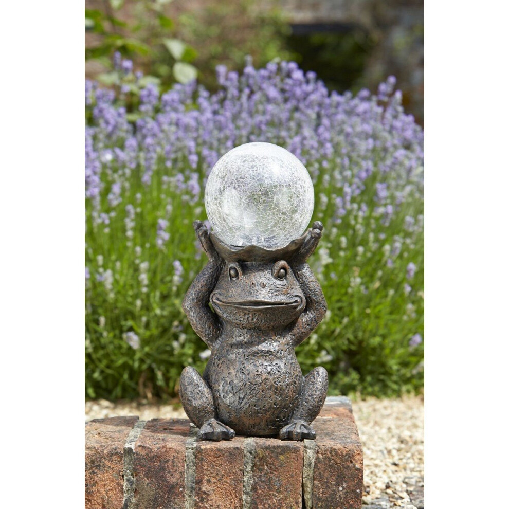 Solar Powered Gazing Frog Decorative Garden Ornament