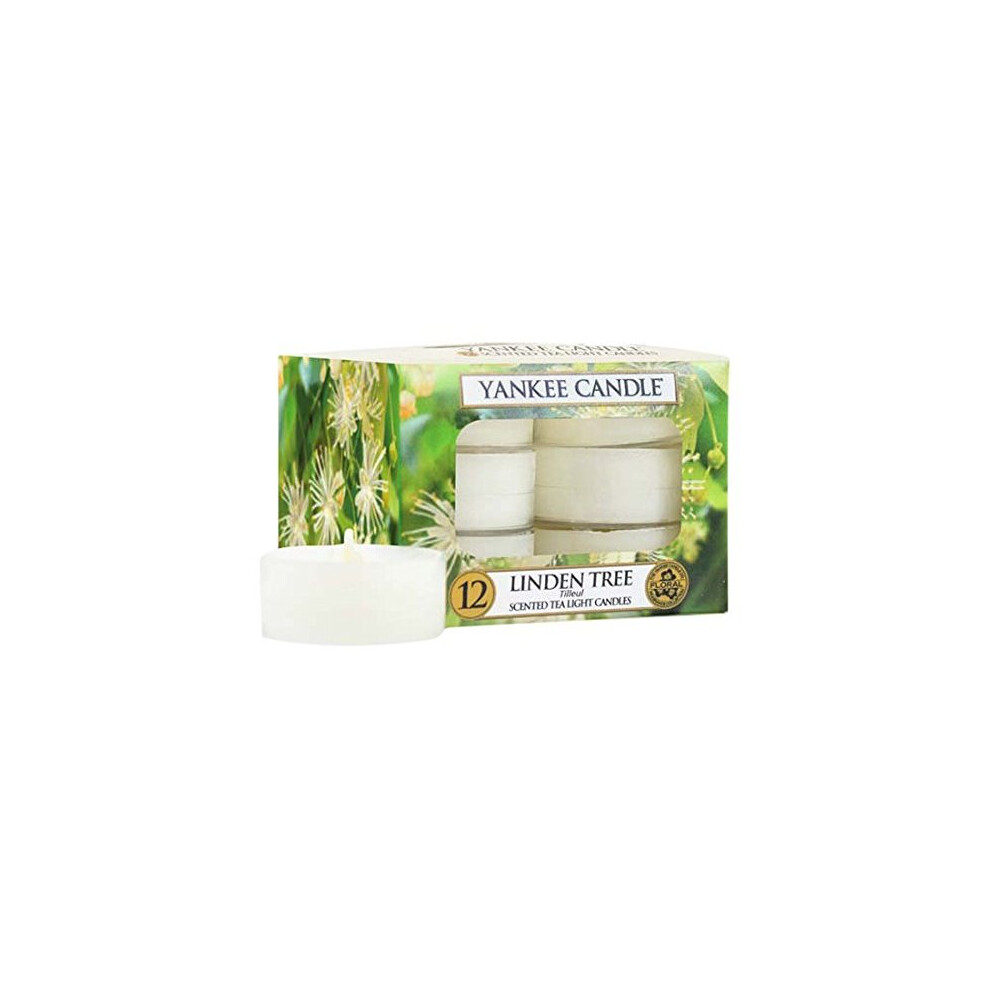 Yankee Candle Linden Tree Tealight Candles, White