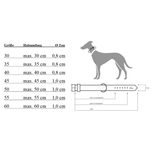 Hunter HUNTER Freestyle Training Adjustable Collar with Stop Ring, 35/8 cm, Raspberry 2