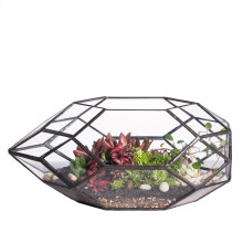 NCYP Large Geometric Glass Terrarium Handmade Irregular Polyhedral Lantern Display Flower Pot Windowsill Balcony Tabletop Centerpiece Planter for...