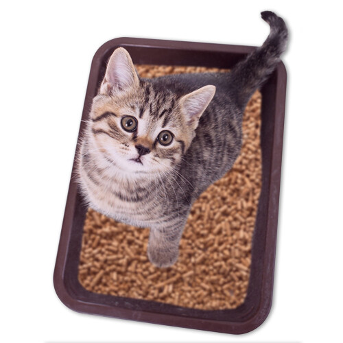 30 L CJ's Premium Cat Litter Ultra Absorbent Wood Pellets Ideal for Cats, Rabbits, Poultry