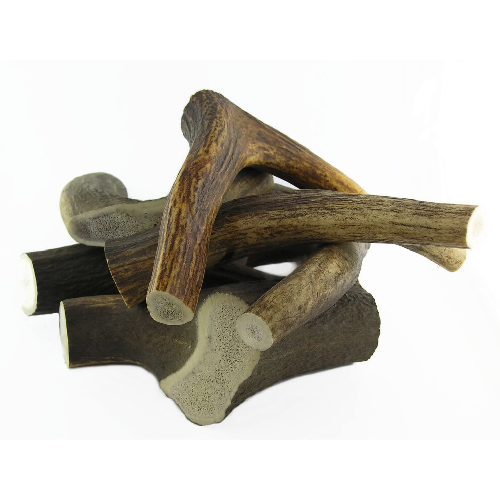 Naturally Shed All Natural Red Deer Antler Dog Chew â€“ Large (min. weight 150 grams) - 1 piece. Artisan Gift Co