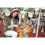 Sony Sony SEL50F18F E Mount Full Frame 50 mm F1.8 Prime Lens 7