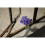Sony Sony SEL50F18F E Mount Full Frame 50 mm F1.8 Prime Lens 6