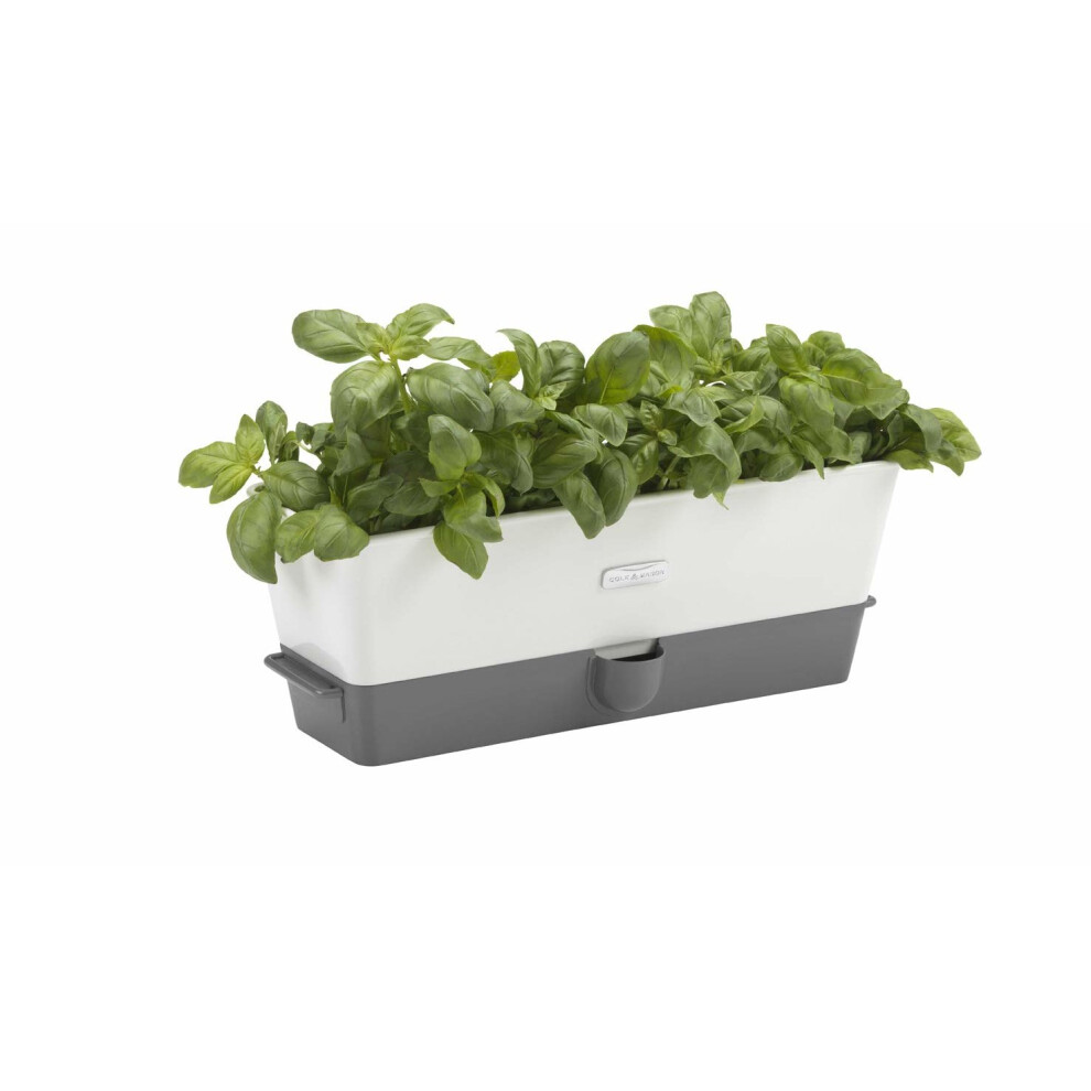 Cole & Mason Fresh Herb Range Self-Watering Potted Herb Keeper, Enamel Coated Steel, White and Grey, Triple