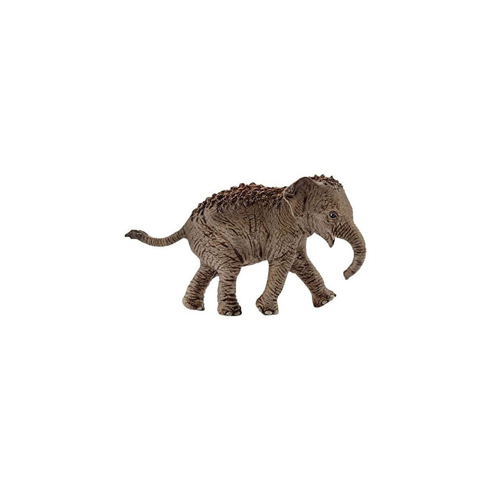 Schleich 14755 - Wild Life Asian elephant calf