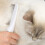 Catit Catit Longhair grooming kit 6