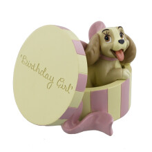 Disney Lady in Hat Box Birthday Girl