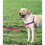 PetSafe PetSafe Easy Walk Harness for Small/Medium/Large Dogs, Large, Pink 2