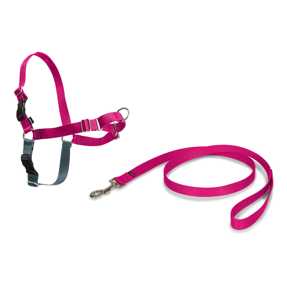 PetSafe, Easy Walk Harness, Medium, Pink, 1.8 metre lead, No Pull, Training, Adjustable, for small / medium / large dogs