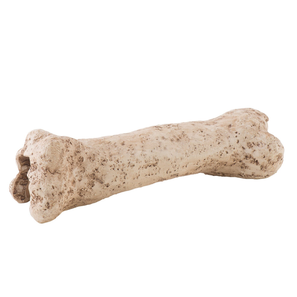 Exo Terra Dinosaur Bone