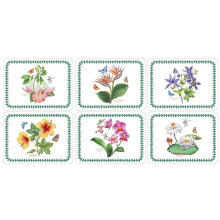 Pimpernel 30.5 x 23 cm Medium Exotic Botanic Garden Placemats, Set of 6, Multi-Colour