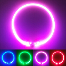 PetSol Ultra Bright USB Rechargeable LED Dog Safety Collar - Cut To Fit Any Size - Rechargeable Lithium Battery - Increased Visibility & Safety For...