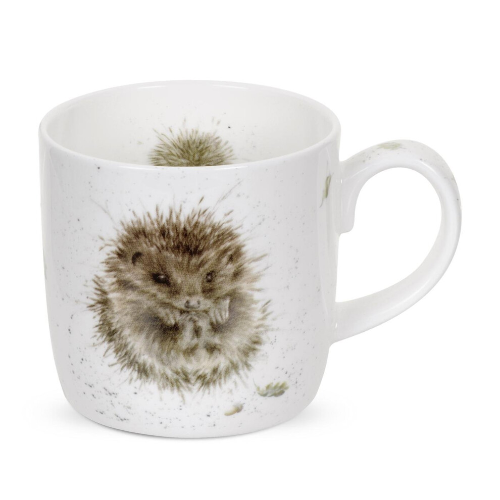 Wrendale by Royal Worcester Awakening Hedgehog Single Mug (Assorted models)