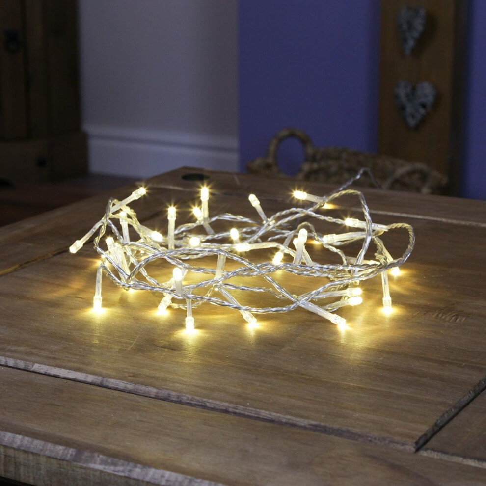 Festive Lights Indoor Fairy Lights - 40 Warm White LEDs - Clear Cable by