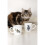 Wrendale Wrendale by Royal Worcester Cat and Mouse Cat Single Mug 3