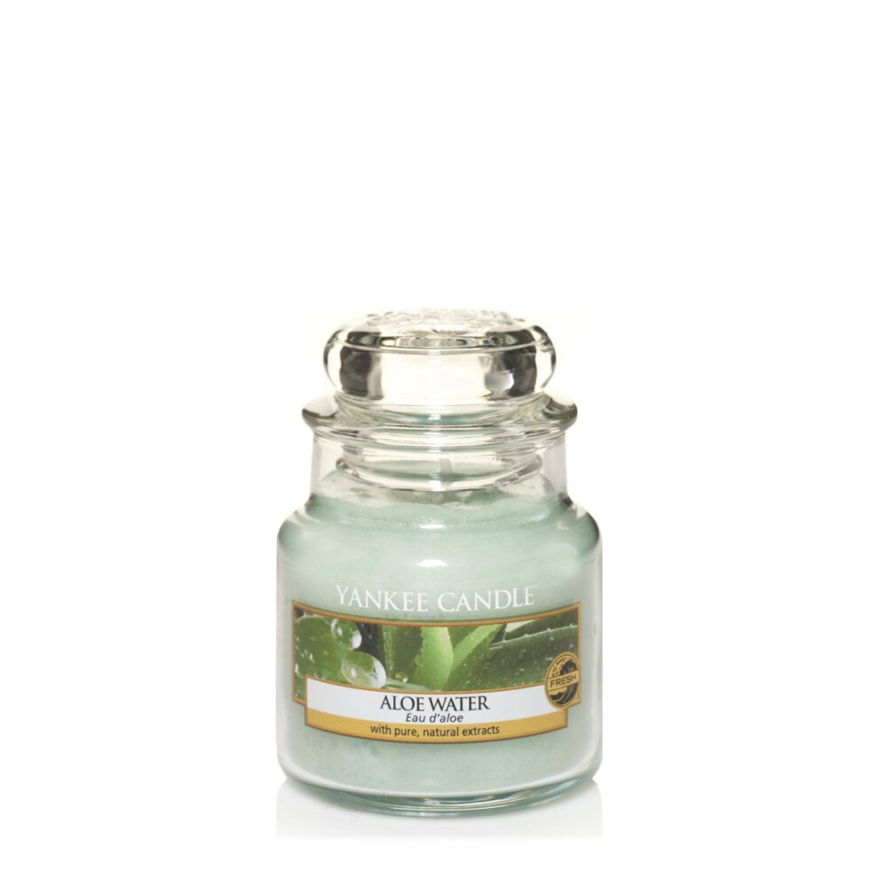 Yankee Candle Small Jar Candle, Aloe Water