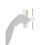 StriVectin StriVectin Tightening Neck Serum Roller 50 ml 5