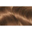 Garnier Garnier Nutrisse 6.3 Golden Light Brown Permanent Hair Dye 2