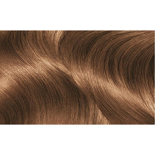 Garnier Garnier Nutrisse 6.3 Golden Light Brown Permanent Hair Dye 1