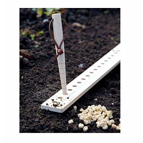 Burgon & Ball GES/DIBBLET Dibblet 2